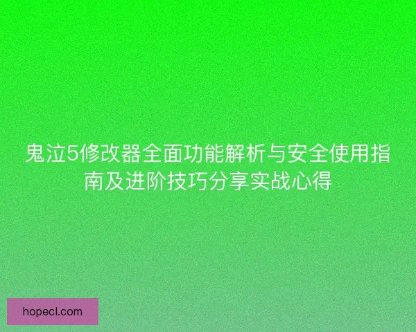 鬼泣5修改器全面功能解析与安全使用指南及进阶技巧分享实战心得